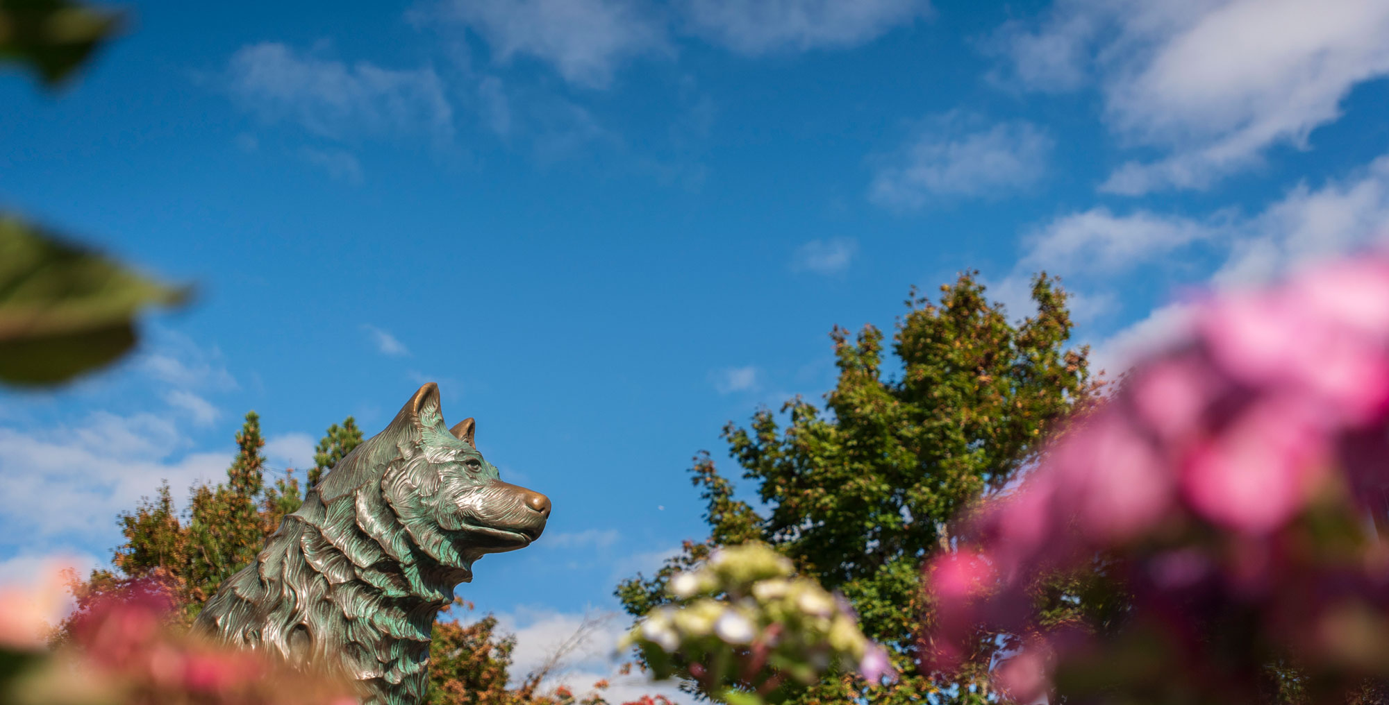 Views of Jonathan the husky dog statue