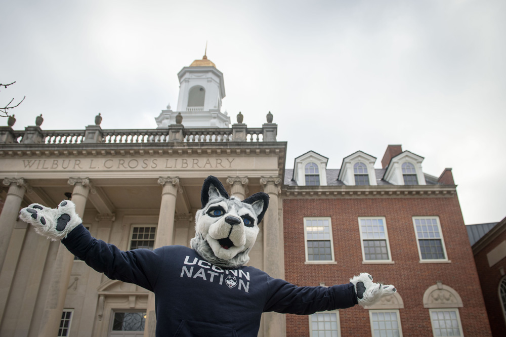 Jonathan the husky mascot wearing UConn Nation swag