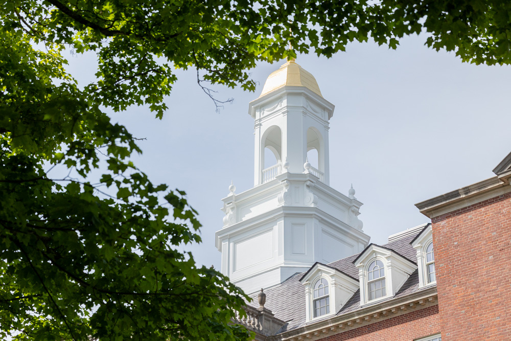 Wilbur Cross cupola from beneath a tree canopy