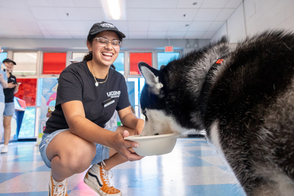Female worker at UConn Dairy bar feeds Jonathan the husky