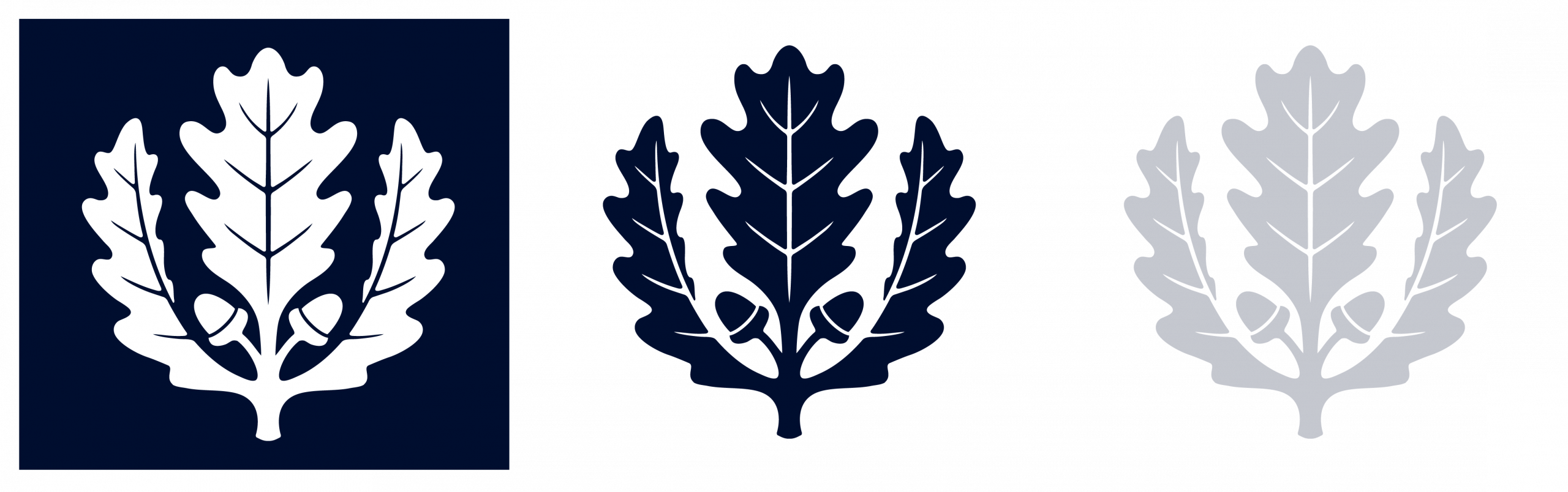 UConn oak leaf in white, blue, and 20% opacity of blue