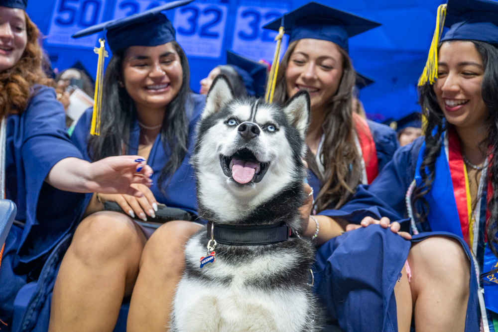 Graduates in blue gowns sit with a Siberian Husky in front; faces are blurred.
