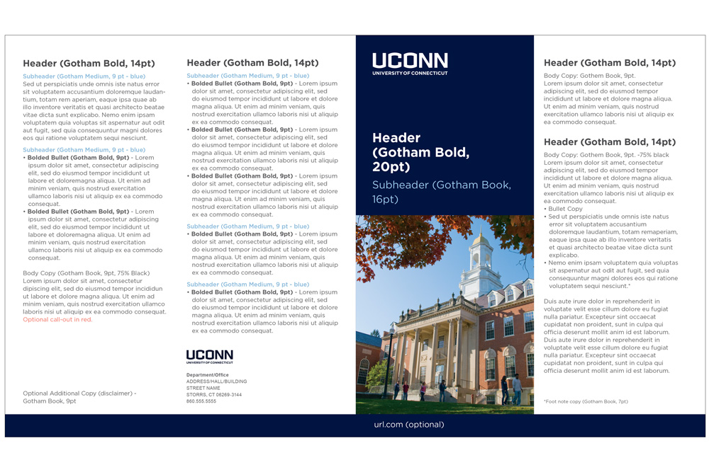 UConn 4-fold brochure example